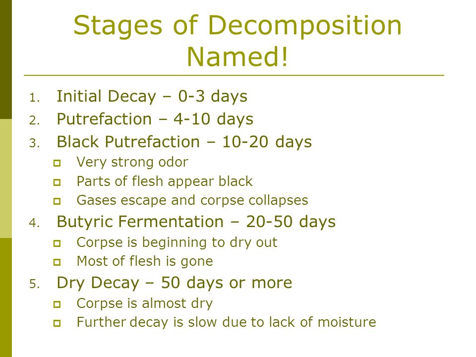 The different stages of decomposition